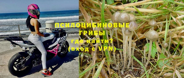 спайс Арсеньев