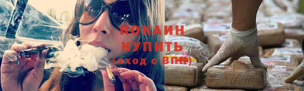 спайс Арсеньев