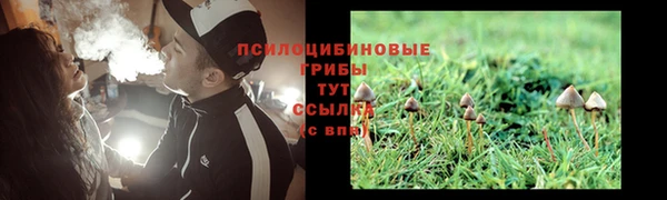 дживик Аркадак