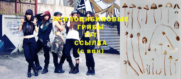 дживик Аркадак