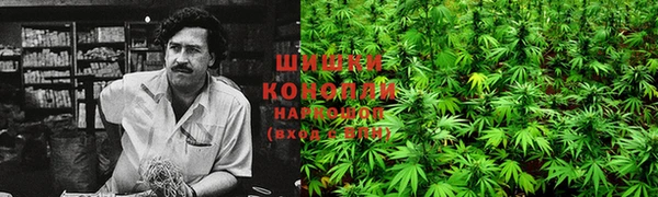 дживик Аркадак