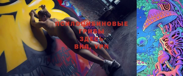 дживик Аркадак